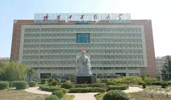 陕西中医药大学历年录取分数线及各专业录取分数线统计表