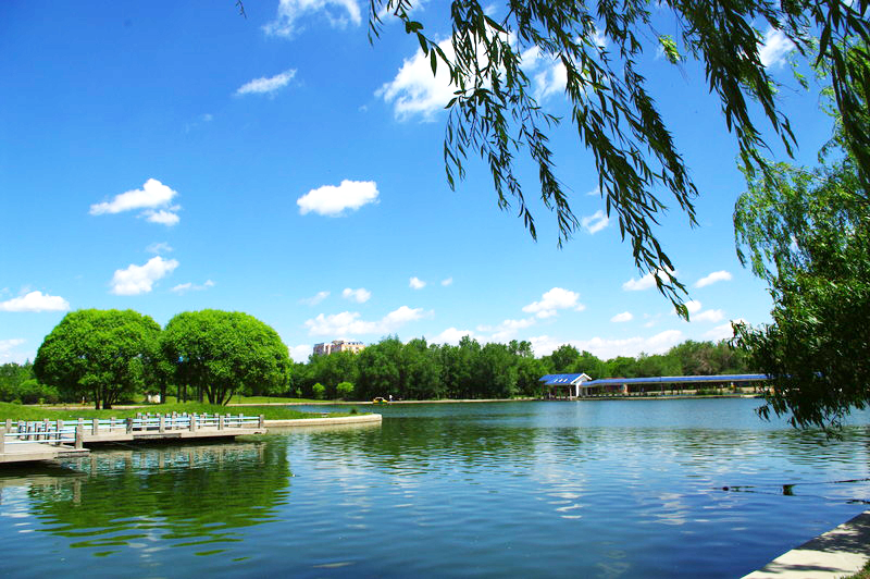 437分能上什么大学,高考437分左右文科理科能上的大学