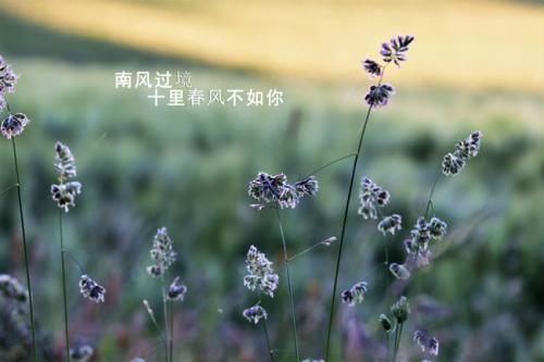 教师心得演讲稿：平等对待每一个孩子