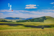 好句子：描写草原