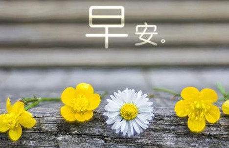 2019最新早安励志句子